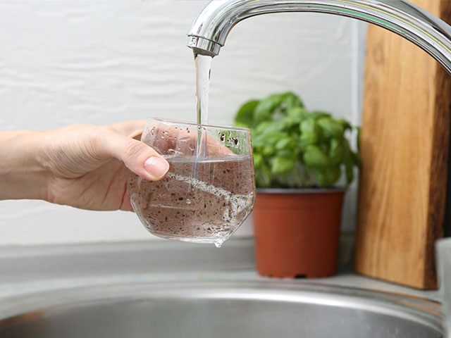 What Are Those Black Specks In My Water?